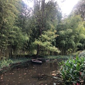 Meet your Posher, Malkie